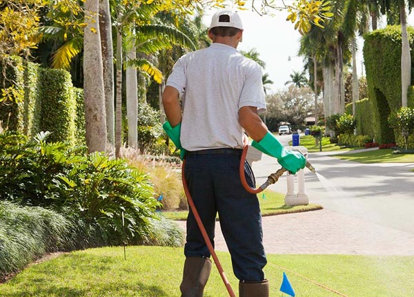 About Morris IL Pest Control Pros